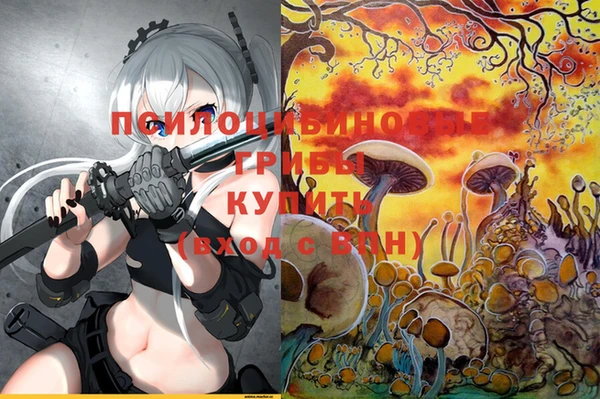 каннабис Аркадак