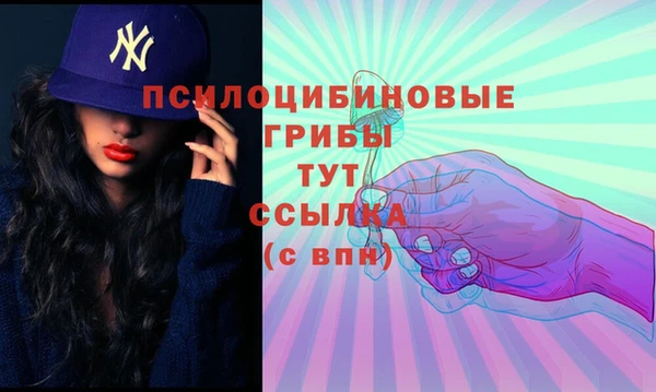 spice Армянск