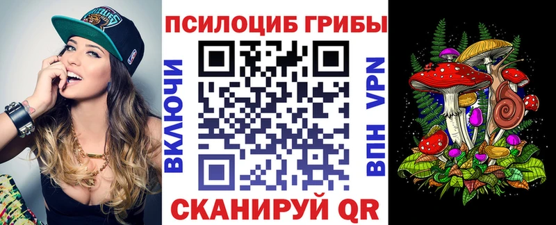 Псилоцибиновые грибы Magic Shrooms  как найти   Медвежьегорск 